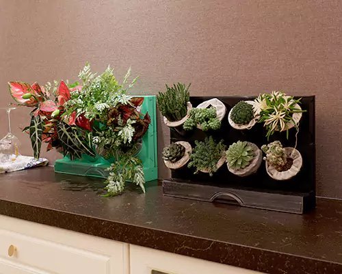 Durch die bunten Blumentöpfe fühlen sich meine Pflanzen jeden Tag wie im Urlaub