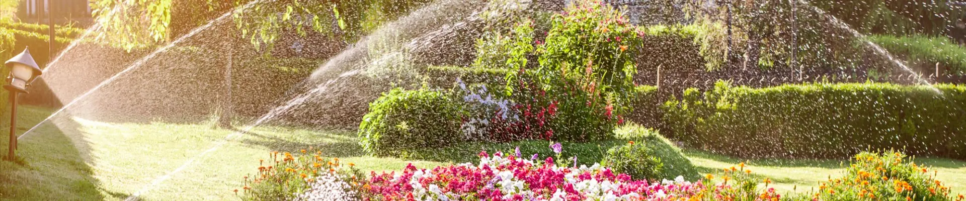 Bewässerung