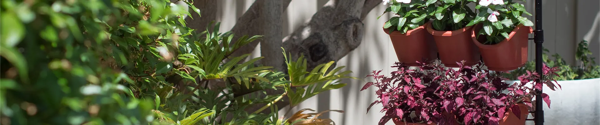 Öko-Gartenbau Vertikaler Garten