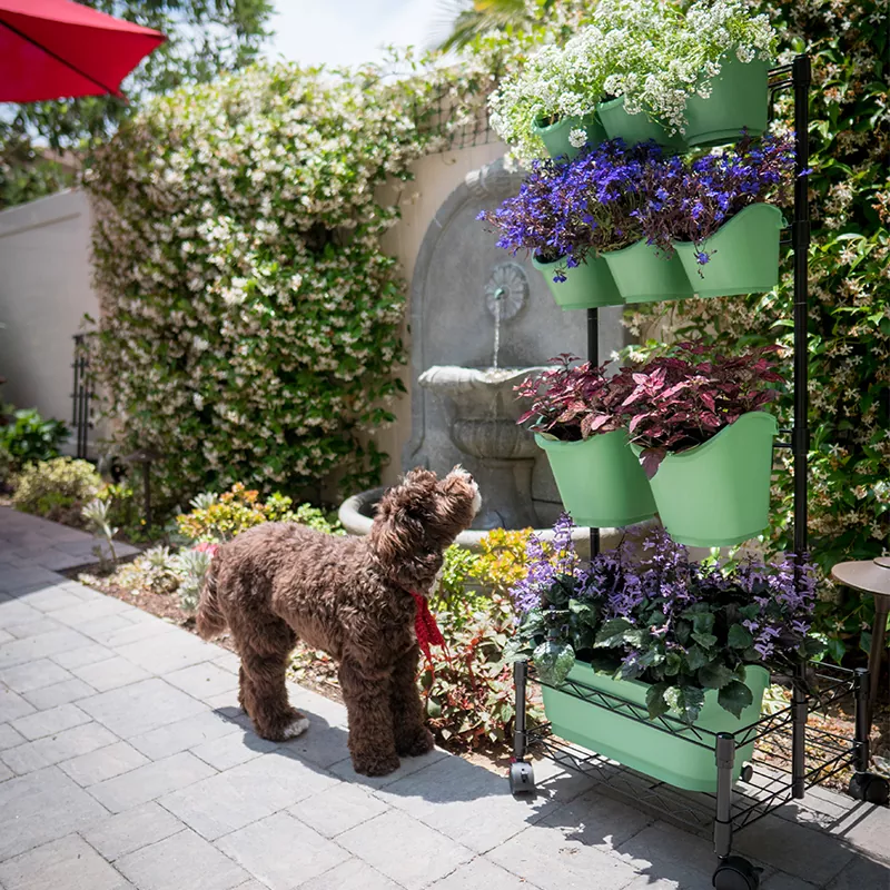 Mobiles grünes Wand-Doppelgestell aus Metall