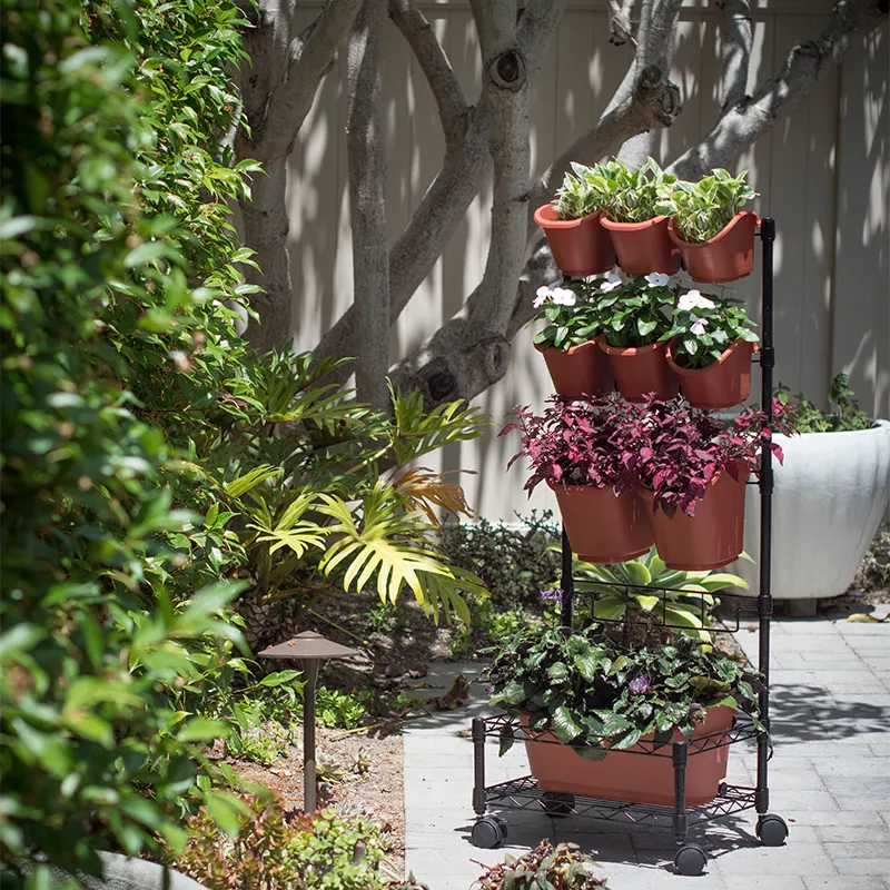Mobile Pflanzgefäße für die grüne Wand aus Metall mit Einzelrahmen